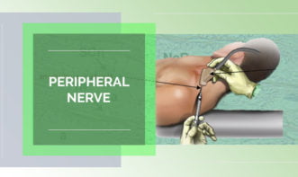 Peripheral Nerve